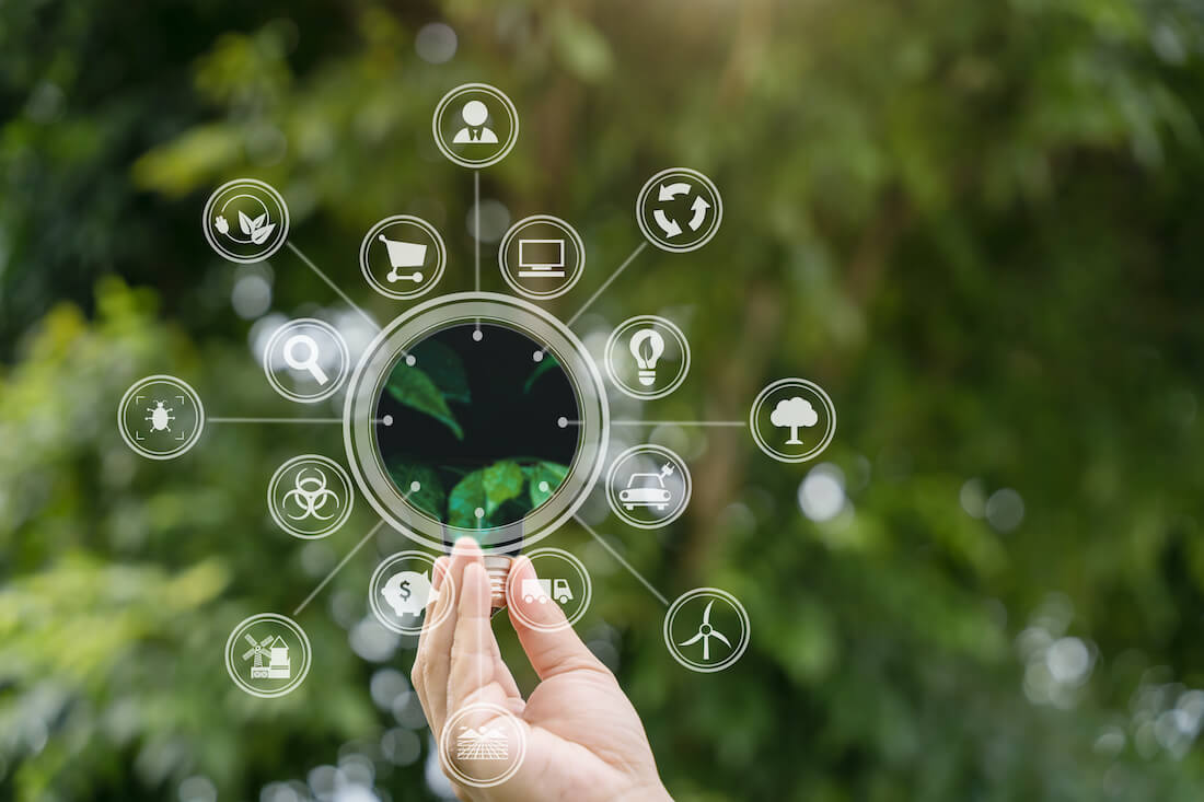 ecosistema digitale dinamico